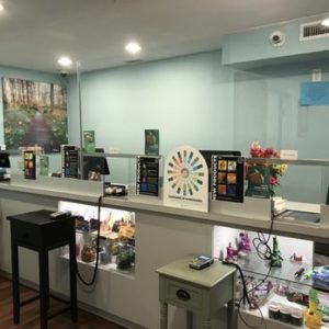Southern CT Wellness & Healing, LLC