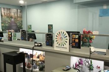Southern ct wellness & healing, llc